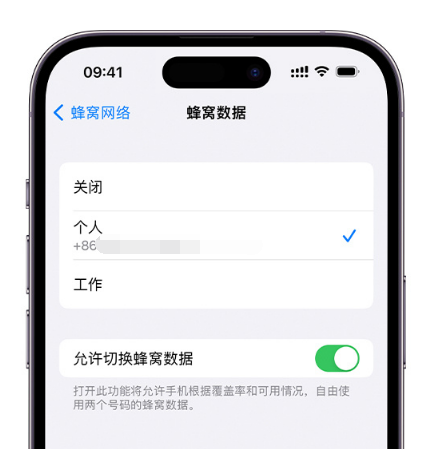 新津苹果维修服务分享如何在iPhone上使用双卡 